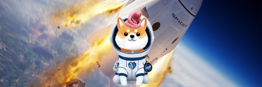 asteroid wifhat Shiba in space